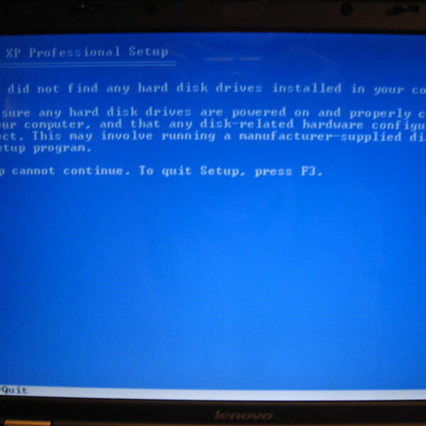 Blue Windows XP Professional Setup screen showing: no hard disk drives detected; setup cannot continue, press F3 to quit.