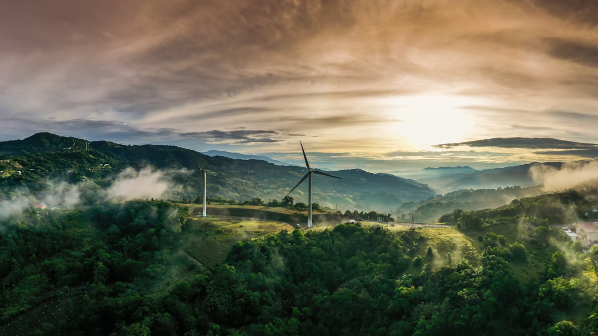 Turbina eolica en bosque de Costa Rica simbolizando innovacion y energia renovable